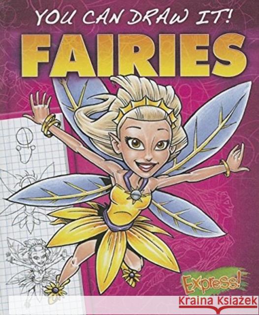 Fairies Steve Porter 9781626170971 Bellwether Media - książka