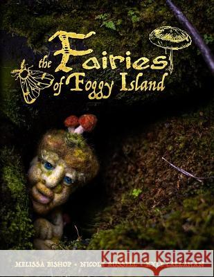 Fairies of Foggy Island Nicole Russell Kyle Callahan Melissa Bishop 9781774781210 Engen Books - książka