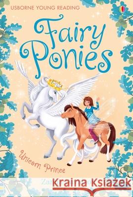 Fairy Ponies Unicorn Prince Susanna Davidson 9781409506362 USBORNE PUBLISHING - książka