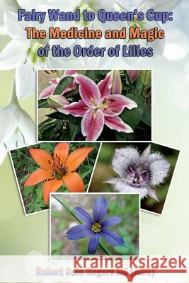 Fairy Wand to Queen's Cup: The Medicine and Magic of the Order of Lilies Robert Dale Roger 9781499170443 Createspace - książka