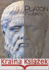 Fajdros Platon 9788367065207 Teologia Polityczna - książka