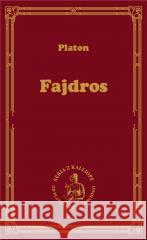 Fajdros Platon 9788379984459 vis-a-vis Etiuda - książka