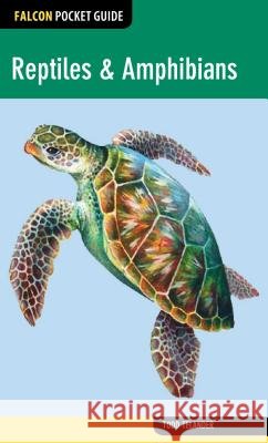 Falcon Pocket Guide: Reptiles & Amphibians Todd Telander 9780762781928 FalconGuide - książka