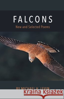 Falcons Michael H. Levin 9781646622320 Finishing Line Press - książka
