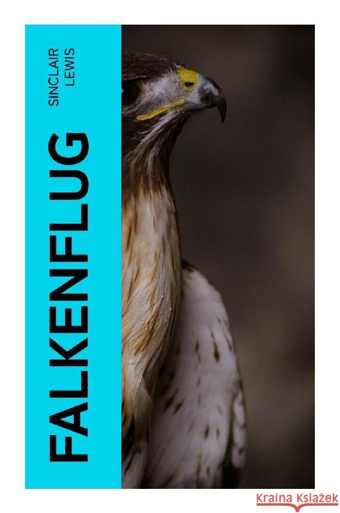Falkenflug Lewis, Sinclair 9788027365630 e-artnow - książka