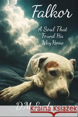 Falkor A Soul That Found His Way Home D. M. Ende 9781764199803 Memoir Records - książka