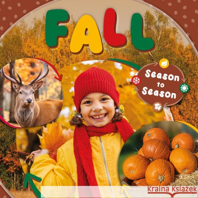 Fall Kirsty Holmes 9798893594522 North Star Editions - książka