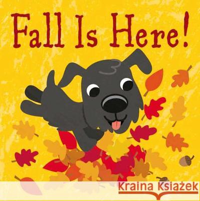 Fall Is Here! Fhiona Galloway 9781499801101 Little Bee Books - książka