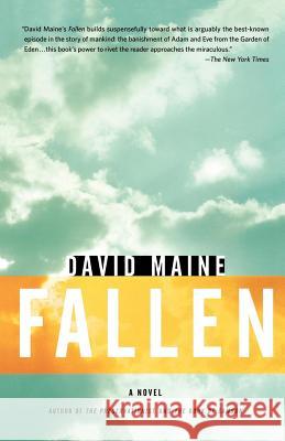 Fallen David Maine 9780312328504 St. Martin's Griffin - książka