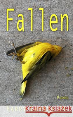 Fallen Harry, Jr. Gamboa 9781450569644 Createspace - książka