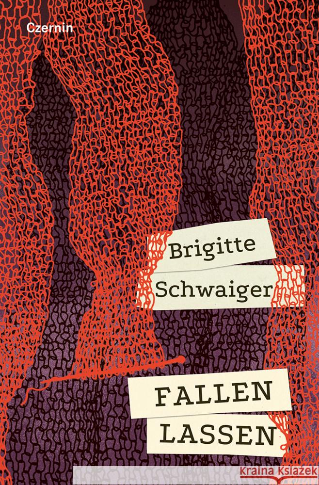 Fallen lassen Schwaiger, Brigitte 9783707608793 Czernin - książka