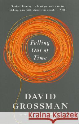 Falling Out of Time David Grossman 9780345805850 Vintage Books - książka