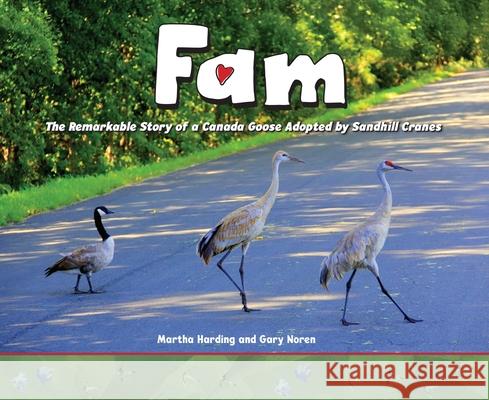 Fam: The Remarkable Story of a Canada Goose Adopted by Sandhill Cranes Martha Harding Gary Noren 9781643434940 Beaver's Pond Press - książka