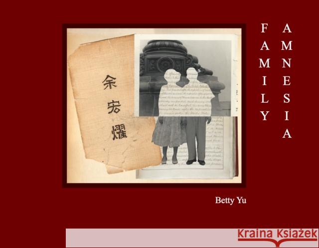 Family Amnesia: Chinese American Resilience  9781954119444 Daylight Books - książka