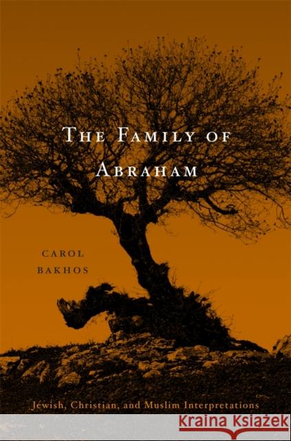 Family of Abraham: Jewish, Christian, and Muslim Interpretations Bakhos, Carol 9780674050839 Harvard University Press - książka