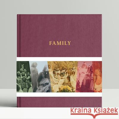 Family: The Source Family Scrapbook Isis Aquarian Jodi Wille 9780999609989 Sacred Bones Books - książka