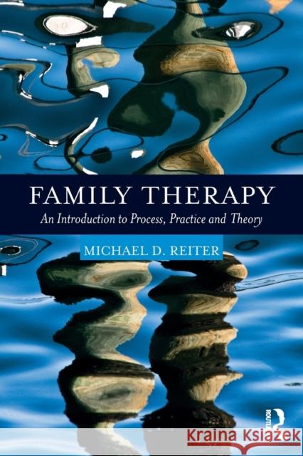 Family Therapy: An Introduction to Process, Practice and Theory Michael Reiter 9781138086746 Routledge - książka