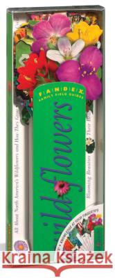 Fandex: Wildflowers Ruth Rogers Clausen 9780761114642 Workman Publishing - książka