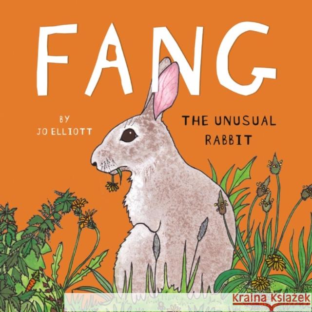 FANG - The Unusual Rabbit Jo Elliott 9781838590918 Troubador Publishing - książka