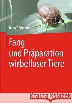 Fang Und Präparation Wirbelloser Tiere Abraham, Rudolf 9783827430762 SPEKTRUM AKADEMISCHER VERLAG - książka