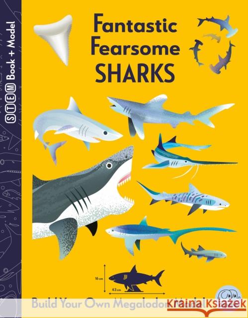 Fantastic Fearsome Sharks Kit Elliot 9781917082068 Gemini Editions Ltd - książka