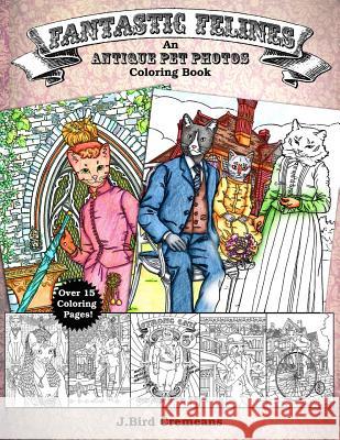 Fantastic Felines: An Antique Pet Photos Coloring Book J. Bird Cremeans 9781095556047 Independently Published - książka