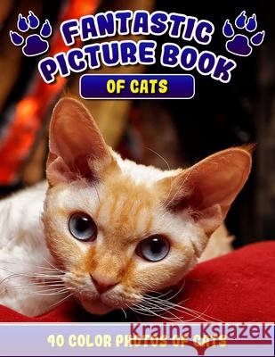Fantastic Picture Book of Cats. 40 Color Photos of Cats: Cat Names Picture Book Gift for Adults & Seniors with Alzheimer's. Rodrick Madison 9781693549779 Independently Published - książka