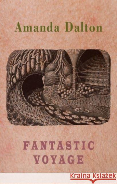 Fantastic Voyage Amanda Dalton 9781780377117 Bloodaxe Books Ltd - książka