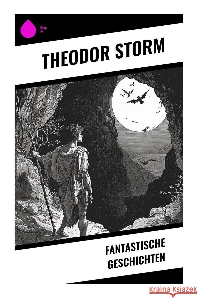 Fantastische Geschichten Storm, Theodor 9788028350383 Sharp Ink - książka