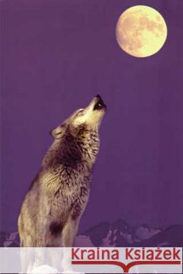 Far Rider Sam Abshier 9781304404398 Lulu.com - książka