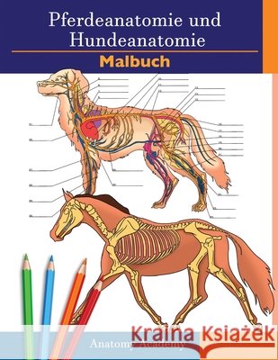 Farbbuch für Pferde- und Hundeanatomie: 2-in-1 Zusammenstellung Unglaublich detailliertes Arbeitsbuch zum Selbsttest für Pferde- und Hundeanatomie Per Academy, Anatomy 9781914207235 Muze Publishing - książka