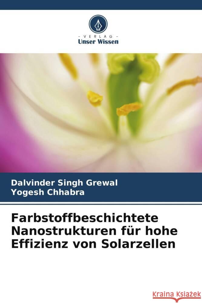 Farbstoffbeschichtete Nanostrukturen für hohe Effizienz von Solarzellen Grewal, Dalvinder Singh, Chhabra, Yogesh 9786208385552 Verlag Unser Wissen - książka