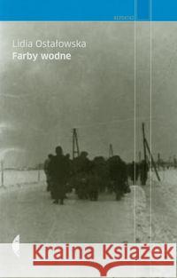 Farby wodne Ostałowska Lidia 9788375362862 Czarne - książka