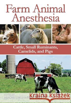 Farm Animal Anesthesia : Cattle, Small Ruminants, Camelids, and Pigs  9781118474358 John Wiley & Sons - książka