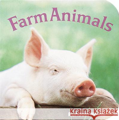 Farm Animals Phoebe Dunn 9780394862545 Random House Children's Books - książka