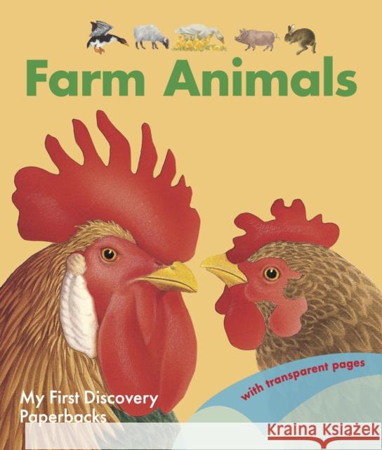 Farm Animals Sylvaine Peyrols 9781851037551 Moonlight Publishing Ltd - książka
