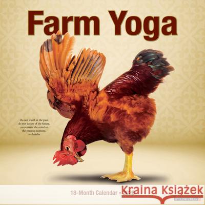 Farm Yoga 2026 12 X 12 Wall Calendar Willow Creek Press 9781549251092 Wlcp - książka
