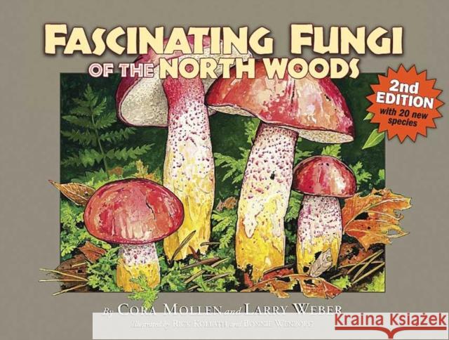 Fascinating Fungi of the North Woods, 2nd Edition Cora Mollen Larry Weber Rick Kollath 9781936571031 Kollath Stensaas - książka