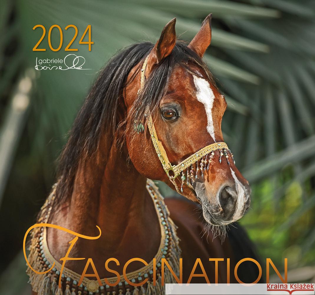 Fascination 2024, m. 1 Beilage Boiselle, Gabriele 9783964120625 Edition Boiselle - książka