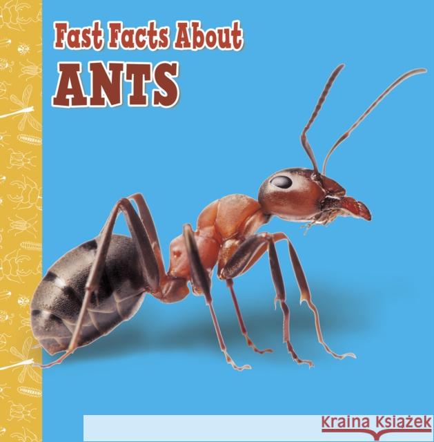 Fast Facts About Ants Lisa J. Amstutz 9781398213319 Capstone Global Library Ltd - książka