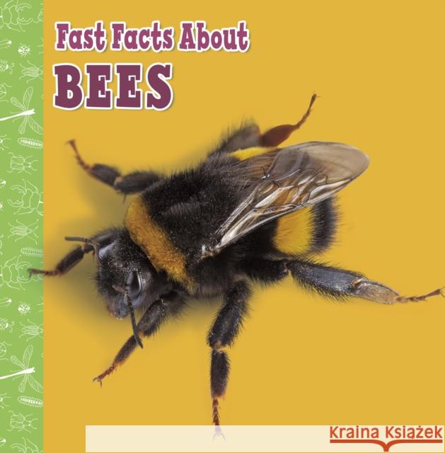 Fast Facts About Bees Lisa J. Amstutz 9781398213333 Capstone Global Library Ltd - książka