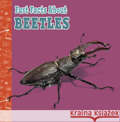Fast Facts about Beetles Julia Garstecki 9781977132659 Pebble Books - książka