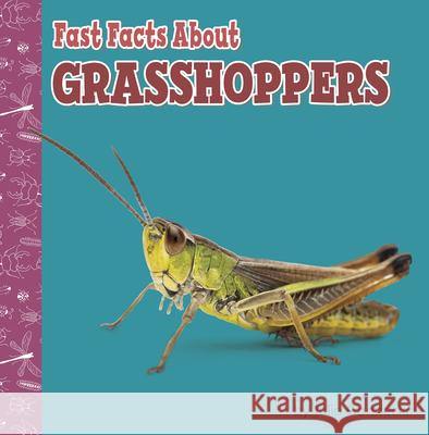 Fast Facts about Grasshoppers Julia Garstecki 9781977132697 Pebble Books - książka