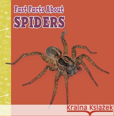 Fast Facts about Spiders Julia Garstecki 9781977132703 Pebble Books - książka