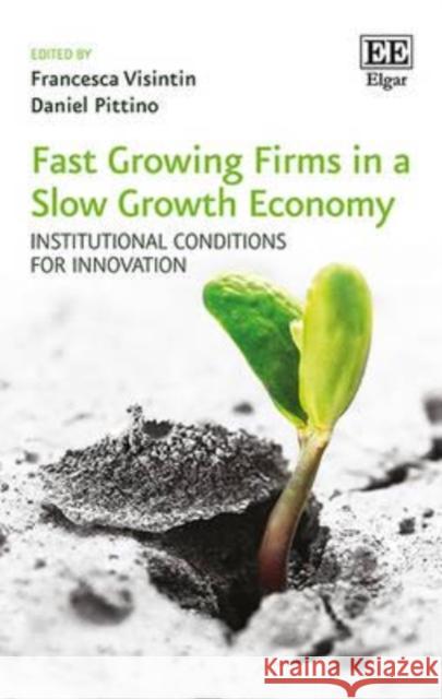 Fast Growing Firms in a Slow Growth Economy: Institutional Conditions for Innovation Francesca Visintin   9781785367106 Edward Elgar Publishing Ltd - książka