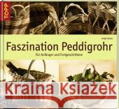 Faszination Peddigrohr : Für Anfänger und Fortgeschrittene Hövel, Antje   9783772455100 Frech - książka