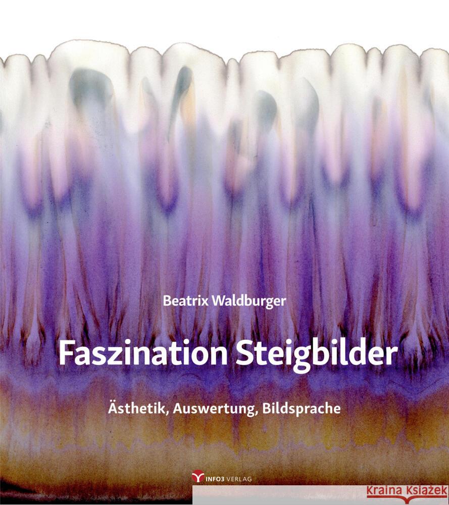 Faszination Steigbilder Waldburger, Beatrix 9783957791894 Info Drei - książka