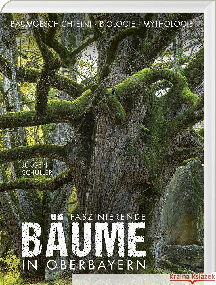 Faszinierende Bäume in Oberbayern Schuller, Jürgen 9783892515418 Bayerland - książka