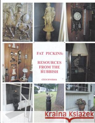 Fat Pickins -- the new survival resources Appleton Schneider 9781105104138 Lulu.com - książka