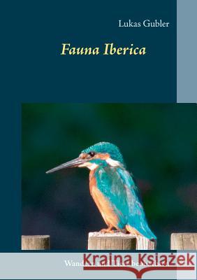 Fauna Iberica: Wandern und Tiere beobachten in Spanien Gubler, Lukas 9783752859416 Books on Demand - książka